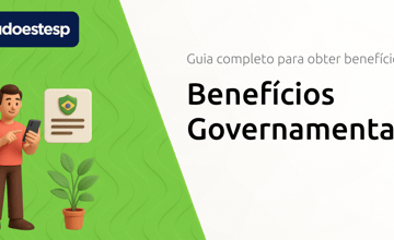 Benefícios Governamentais: Guia Completo para Obter Benefícios